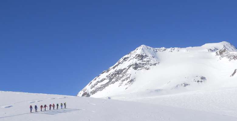 Punta d'Arbola  3.235 m. scialpinismo